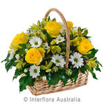 Petite Sympathy Basket