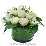 Sympathy Bowl Arrangement