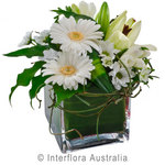 Snowdrop