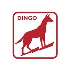 DINGO LAGER 49.5L KEG