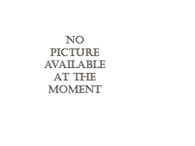 'AP Business' Ladies Knee Length Skirt