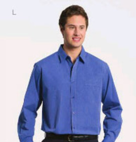 ** CLEARANCE ITEM ** 'Totally Corporate' Men's Regular Collar Long Sleeve Shirt