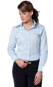 'Winning Spirit' Ladies Fine Stripe Long Sleeve Shirt