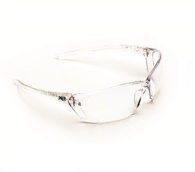 'Prochoice'  Richter Clear Safety Glasses