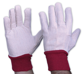 'Prochoice' Ladies Cotton Drill Glove