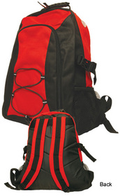'Winning Spirit' Smartpack Backpack