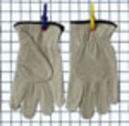 'DNC' Cow Grain Leather Glove