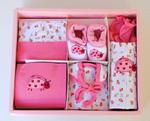 Baby Girl 6 Piece Pink Lady Bug Clothing Set