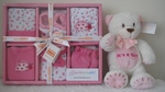 6 Piece Pink Lady Bug Clothing Set and Bear