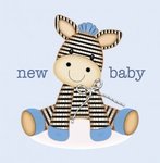 New Baby Zebra Boy