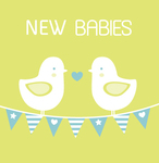 New Babies Birds
