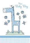 New Baby Boy Giraffe