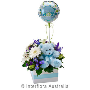 It's a Boy 315