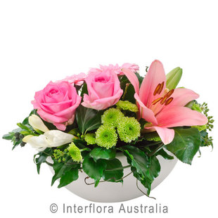 Rose 336