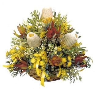 Banksia basket