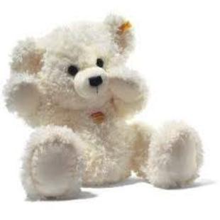 Small White Bear