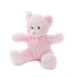 Small Pink Bear