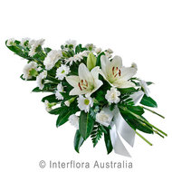Admiration White 427