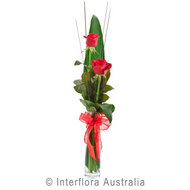 Flirt 264