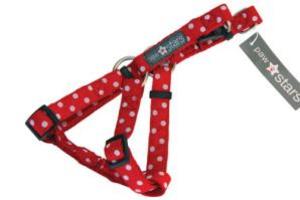 Paw Stars Dog Harness (Max)