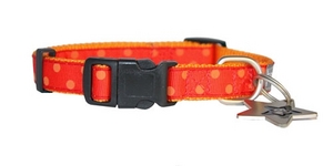 Paw Stars Puppy Collar (Indie)