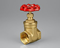 BRASS GATE VALVES