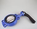 BUTTERFLY VALVES