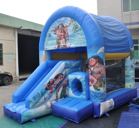 Small Slide Moana Small Combo Castles Small Combo Castles Bouncy Castle Hire Perth Best Price Jumping Castles Soxon
