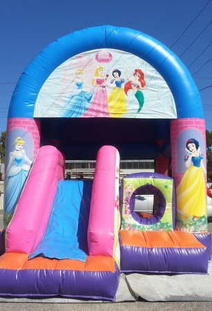 Small Slide Princess 4