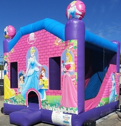 Disney Princess L Combo