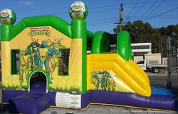 Ninja Turtles SS Combo