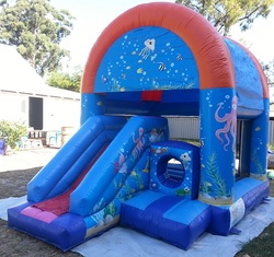 Small Slide Under The Sea